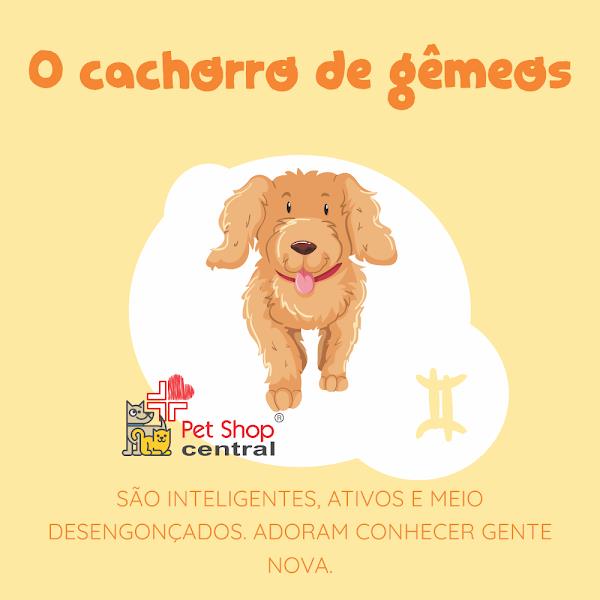 Foto 4 Pet Shop Central e Clínica 24 horas - Nazaré, Centro,Campo Grande