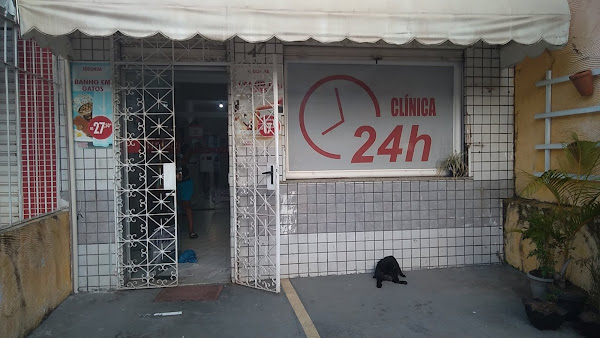 Foto 5 Pet Shop Central e Clínica 24 horas - Nazaré, Centro,Campo Grande