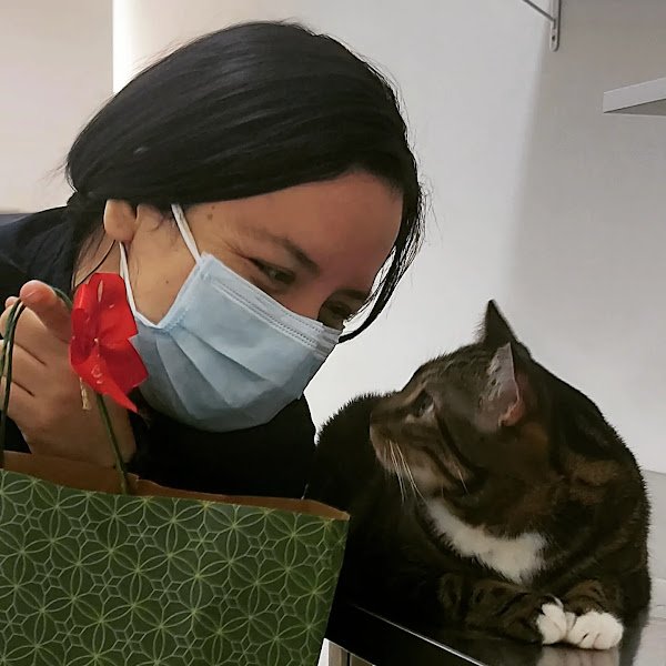 Villa Pet Veterinária Pet Shop