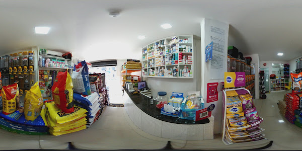 Foto 1 Point do Au-Au Miau