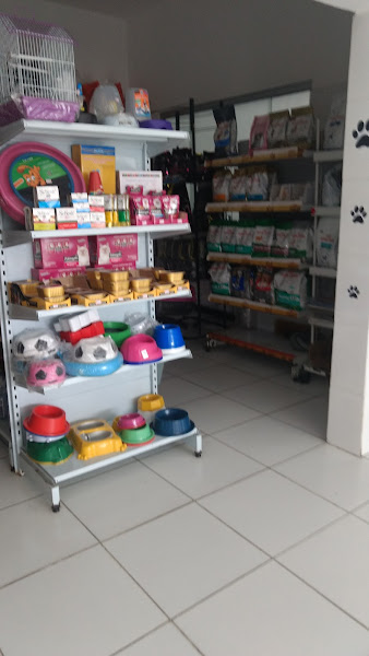 Foto 1 Dalmatas Pet Shop