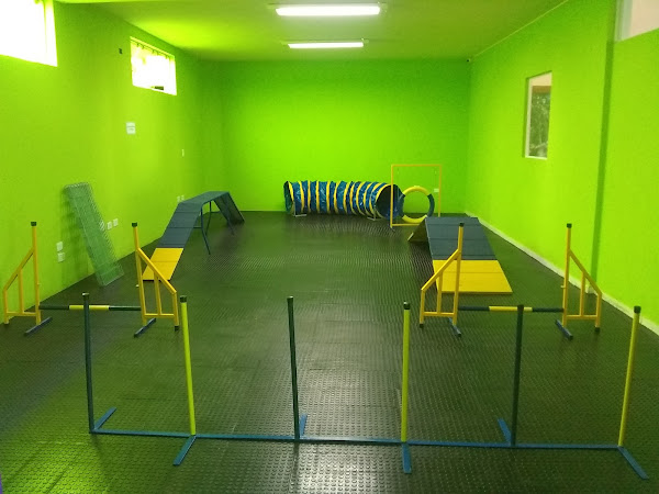 Foto 4 Pet Relax - Creche, banho e tosa.