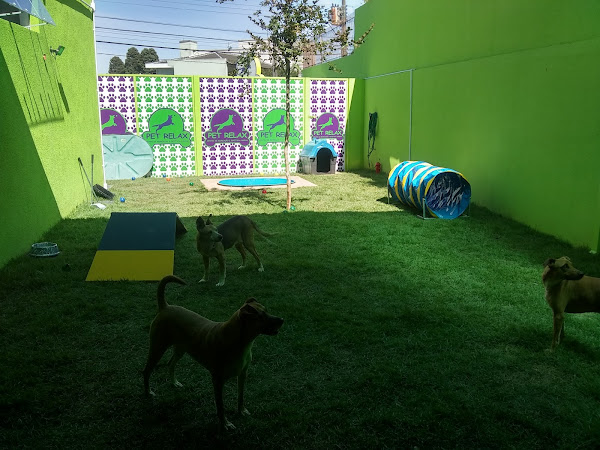 Foto 5 Pet Relax - Creche, banho e tosa.