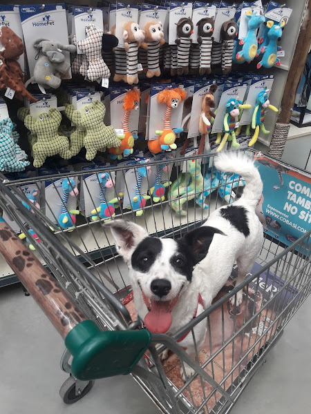 Foto 5 Cobasi Curitiba