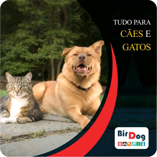 Foto 3 Birdog Rações - Comércio de Rações