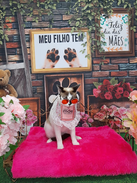 Foto 1 Pet Shop Ale.S Rações