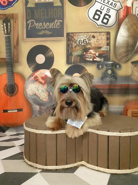 Foto 4 Pet Shop Ale.S Rações