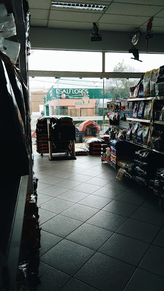 Foto 1 Esalpet - Rebouças