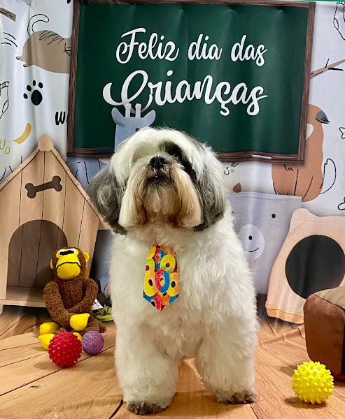 Foto 2 Pet Shop México