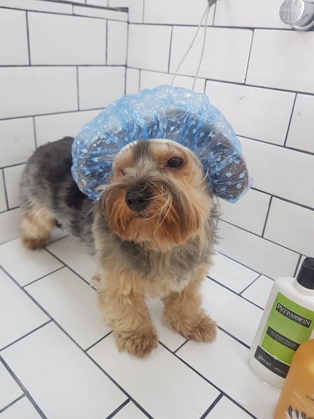 Foto 3 Esalpet Centro Civico