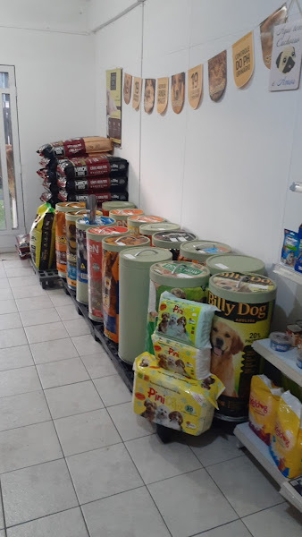 Foto 1 Bambu Cão - Casa de ração e acessórios pet