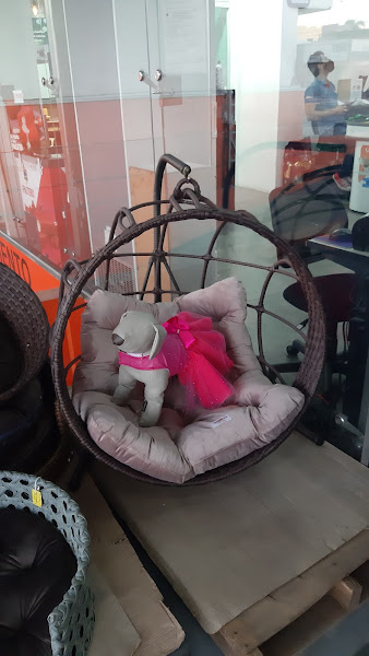 Foto 2 Pet Shop Casa do Produtor - Filial Seminário