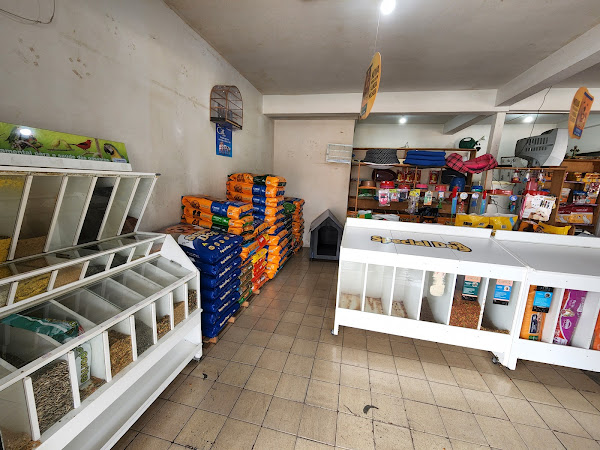 Foto 2 Aviário e Pet Shop Curió