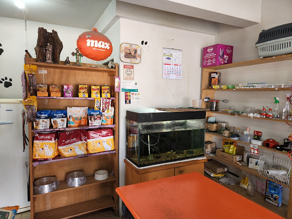 Foto 3 Aviário e Pet Shop Curió