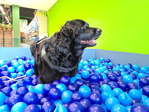 Foto 3 Cobasi Curitiba Linha Verde