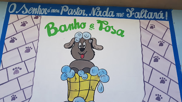 Foto 2 Avlis Pet Shop & Veterinária Foto 2 Avlis Pet Shop & Veterinária