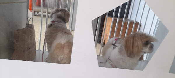 Foto 2 Esalpet Uberaba