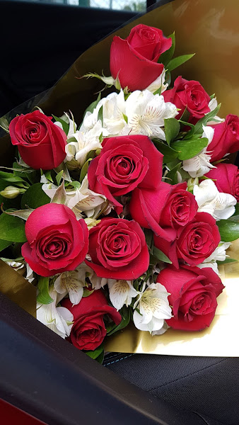 Foto 3 Esalpet Uberaba