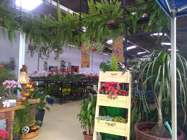 Foto 5 Esalpet Uberaba