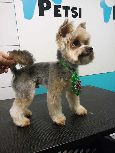 Foto 3 Point do Cão pet Shop