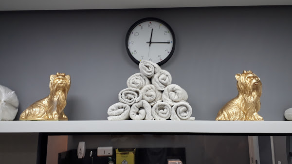 Sanhattan Pet Lifestyle