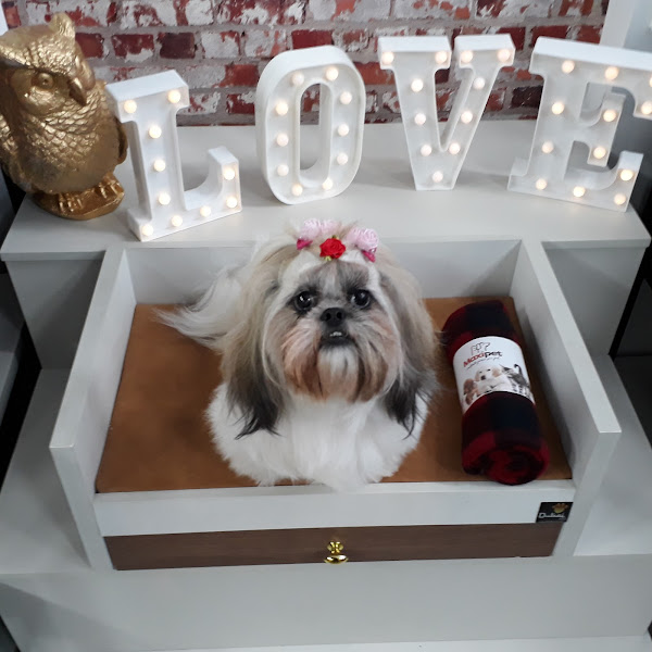 Foto 3 Sanhattan Pet Lifestyle