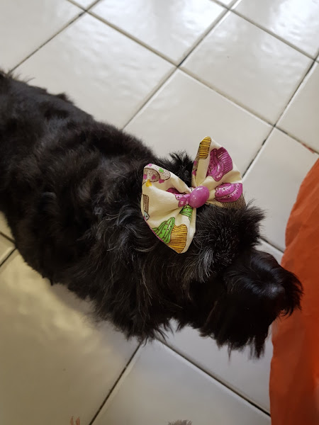 Foto 3 Pet Shop Guanabara