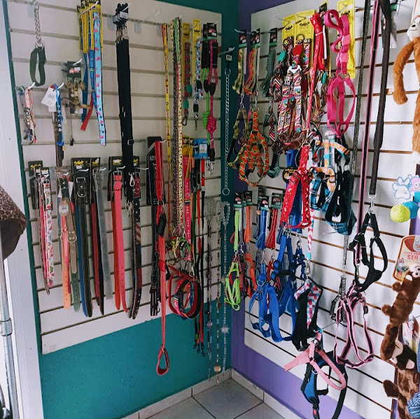 Foto 3 Pet Shop Bicho Locko