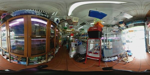 Foto 2 Aviário Sabiá do Portão (CRMV 8960)