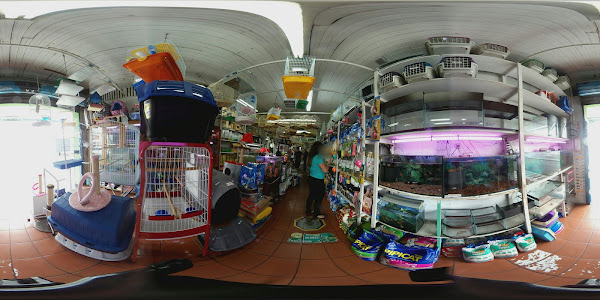 Foto 3 Aviário Sabiá do Portão (CRMV 8960)