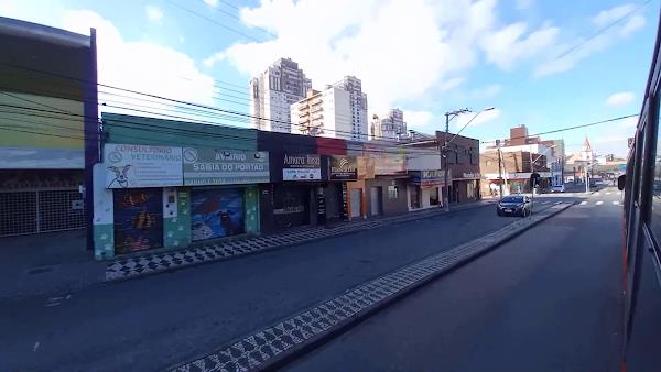 Foto 4 Aviário Sabiá do Portão (CRMV 8960)