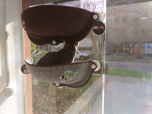 Foto 5 Dog Store - Pet Shop