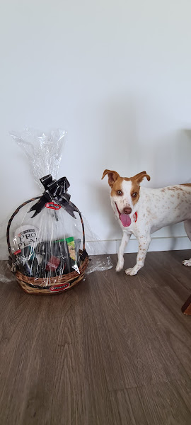 Foto 7 Dog Store - Pet Shop