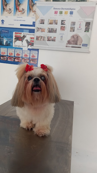 Foto 3 Pet Shop Sao Francisco