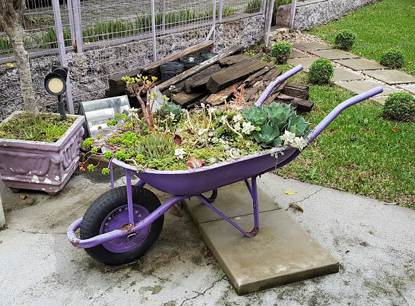 Foto 1 Principe & Princesa - Boutique & Spa Pet