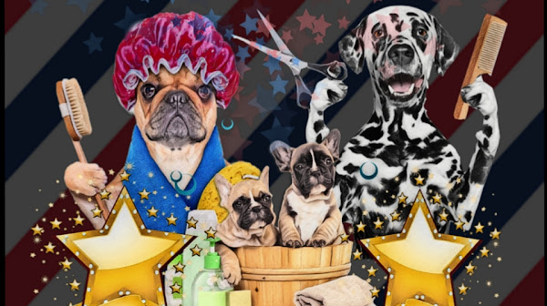 Foto 5 Star Show Pet Care