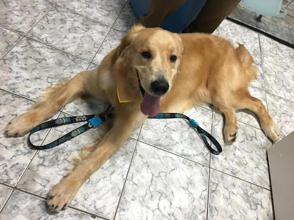 Foto 2 Pet Shop Raças Pet