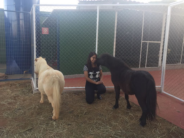 Foto 1 Dra. Elaine Veterinária