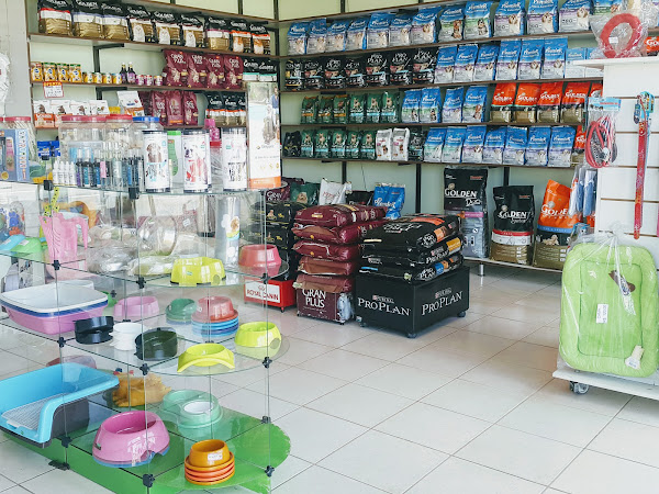 Foto 2 Clinica Vira Lata