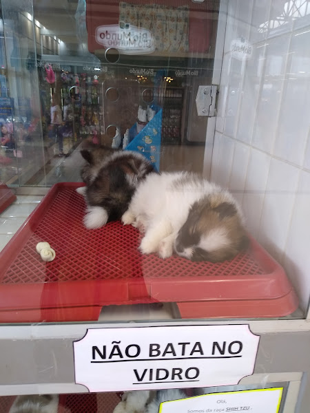 Foto 4 Prime Vet Pet