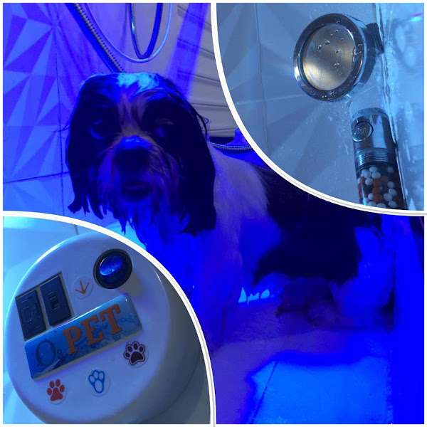 Foto 5 Pet Shop Mundo das Patas