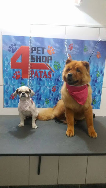 Foto 5 PET SHOP 4 PATAS