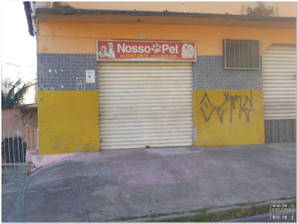 Foto 2 Nosso Pet