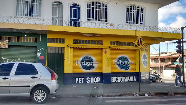 Banho e tosa Arte viva