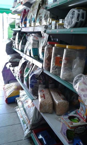 Foto 1 Banho e tosa Arte viva