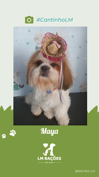 Foto 1 LM RAÇÕES E PET SHOP DIAMANTE MALDONADO BARREIRO