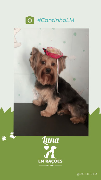 Foto 4 LM RAÇÕES E PET SHOP DIAMANTE MALDONADO BARREIRO