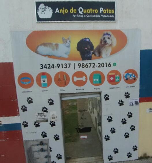 Anjo de Quatro Patas