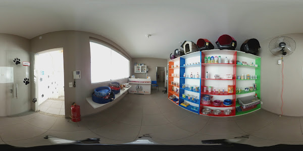 Foto 2 Anjo de Quatro Patas