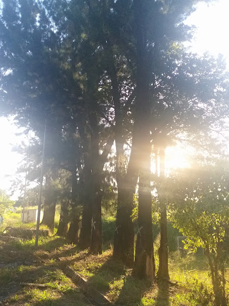 Foto 2 Hospital Galba Velloso